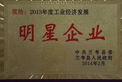 工業經濟發展明星企業
